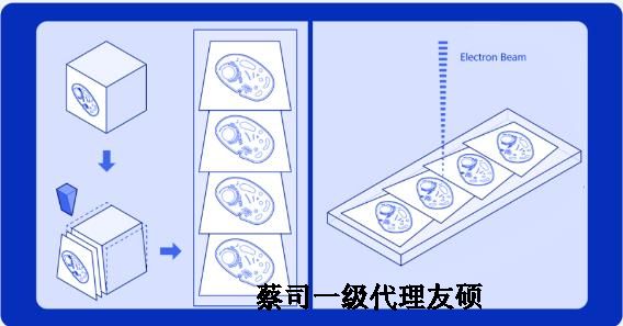 西双版纳蔡司西双版纳扫描电镜