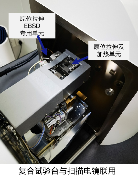 场发射西双版纳扫描电镜Gemini